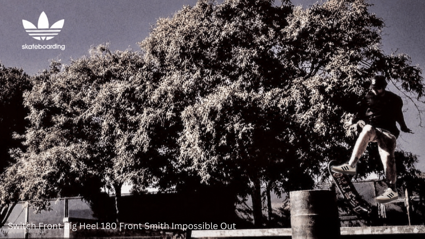 Black-and-white adidas Skateboarding image of a skateboarder performing a trick near trees